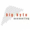 Big Byte Accounting Services