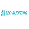 SEO Auditing