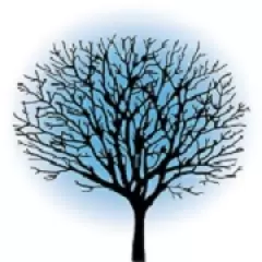SpringTree Media Group
