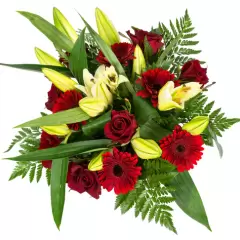 Vanda florist