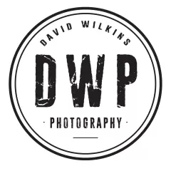 David Wilkins