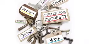 Intellectual property enforcements