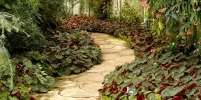 landscape supplies