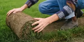 lawn & turf supplies