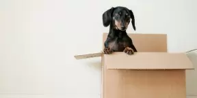 packaging materials
