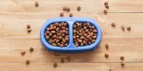 pet foods & supplies