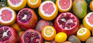 health food products, wholesalers & manufacturers