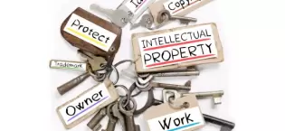 Intellectual property enforcements