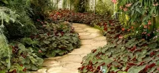 landscape supplies