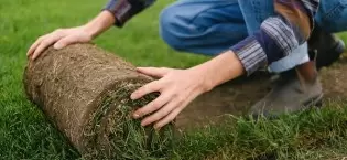 lawn & turf supplies