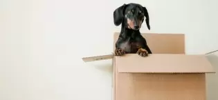 packaging materials