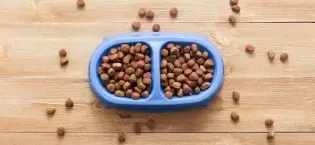 pet foods & supplies