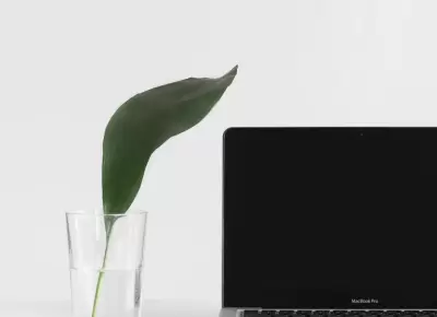 5 Tips for Improving Web Design