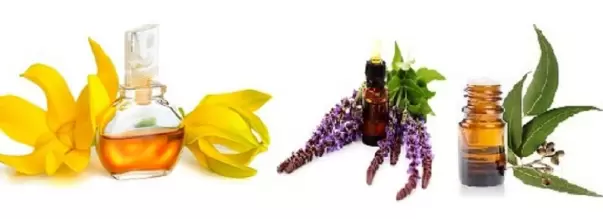 6 Carrier Oils and Best oil that are Absolutely Safe to Use!