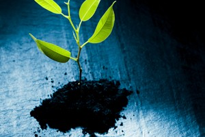 Superannuation Strategies: A Comprehensive Guide and Tips for Small Businesses