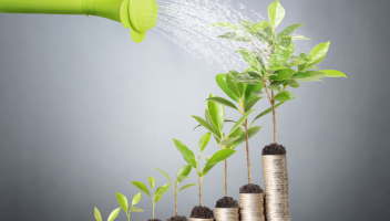 Small Business: How To Grow and How Not To Grow