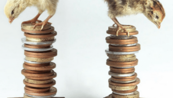 Is Cost Cutting Now Costing Your Business Later?