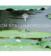 On Statenborough