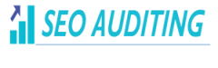 SEO Auditing