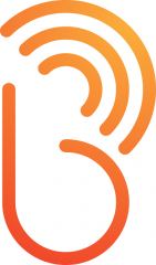Broadcast SEO