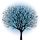 SpringTree Media Group small profile picture