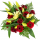 Vanda florist small profile picture