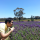 Wilson Lui small profile picture