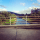 Taratoa pokotea small profile picture