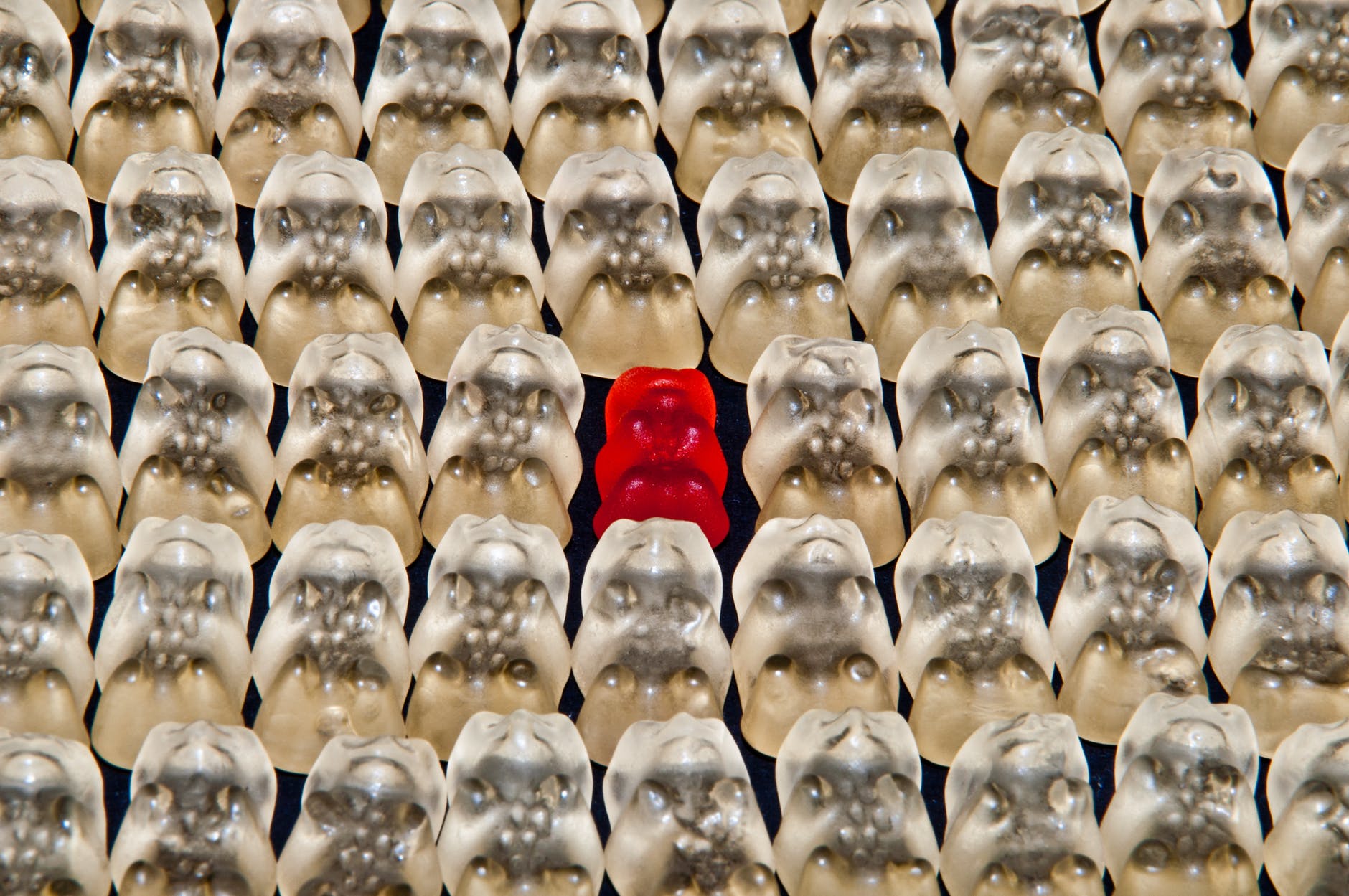 talent brand