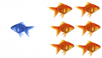 Marketing mistake #5 | using institutional or image advertising
