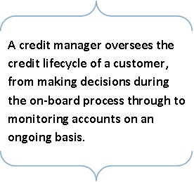 Responsibilities of a credit manager